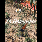#LaEscuelaSigueEnCasa… conociendo a Lo Gorrorroi